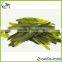 Green Tea Wholesale in Guangzhou Green Tea Weight Loss