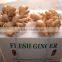 2014 Fresh Ginger and Air Dry Ginger in China