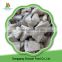 New High Quality Frozen Cutted Oyster Mushrooms