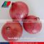 2016 Crop Fresh Red Onion