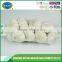 New crop china garlic price