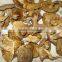 A/B/Cbulk dried oyster mushroom