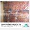 wholesale dried smoked giant squid shredded