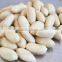 Chinese long shape blanched peanut kernels, Shandong Origin