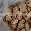 Diatomaceous Earth / Diatomite for Natural Insecticide , Functional Additives and Soil Amendments