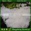 Magnesium Chloride Hexahydrate agriculture grade fertilizer