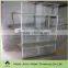 H type and A type broiler battery cage