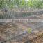 Hot Sale Farm Irrigation Pipe for Irrigation