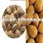 New promotion nut kernel shell separator machine