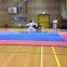 Best seller eva mat/judo mat/yoga mat/kungfu mat/tatami mat/GYM mat