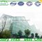 High light transmission multi-span glass greenhouse