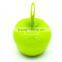 Solar Desk Lantern Apple Pear Deco Light