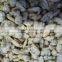 IQF delicious paphia undulata frozen clam meat shell off