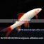 Rainbow Shark Albino / Ornamental Fish Exporter