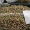 High quality good selling Wood Nail