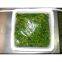 Supply Frozen Seaweed Salad 1kg