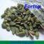 High Quality Dried Pumpkin Seeds