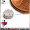 N45 Neodymium Magnet Dia 3/16x1/16" Disc NdFeB Rare Earth Magnet