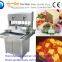 Factory direct sales electric gas industrial japanese colorful tofu soy milk processing machine