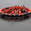 Inflatable life rafts for10 persons on both sides