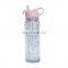 2020 New Arrivals Trending Products Double Wall Plastic Water Bottle With Flip Straw