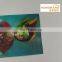 Organic Italian Espresso Flat Bottom Stand Up Bags Wholesale Custom Printing
