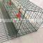 A type pvc coated wire Material chicken layer cages
