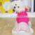 Manufacturing Supplier Designers Logo Hoodie 2021 Luxury Wholesale Pet Clothes Apparel Dog