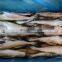 Good price frozen alaska pollack fish head off