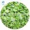 High quality IQF Frozen Green or White Broad Bean