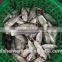 Frozen seafood Bigeye scad fish sale with size 6 - 8 pcs / kg
