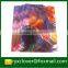 Factory derictly wholesale L shape a4 size file folder pp stationery