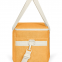 cooler bag thermal bag