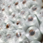 alKali -resistant glass fibre Spray Roving ZrO2 16.7% for GRC Cladding Panels
