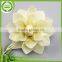 Logo Print quick releasemoso sola flower