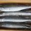 2015 frozen spanish mackerel whole round