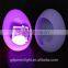 LED light crafts with remote control YXF-1420F