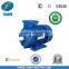MS Three Phase Aluminum Shell Motor