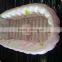 PVC EN71 and EU REACH standard inflatable baby bathtub/kids bathtub/                        
                                                Quality Choice