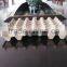 Pulp Moulded manual egg tray machine
