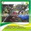 garden tree electric pruning shear