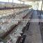 Laying Hens Battery Cages For Sale