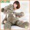 Stuffed Plush Teddy Bear with Big Size