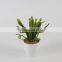 2015 Hot selling handmade artificial succulent in wooden , ceramic pot for sale