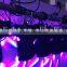 Super bright disco dj lighting 6*15w RGBW 4 in 1 led beam moving head for bar show