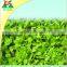 High Quality Plastic Net Cheap Anti Bird Net