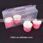 Environmental Fancy Clear Cake Box With Customirizable Logo