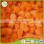 China Hot sale IQF Frozen diced carrot