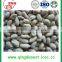 Blanched peanut kernel 25/29 cheap factory price with good quality for sale