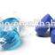 GMP Certified Manufacturer Supply Best Selling Phycocyanin Powder
